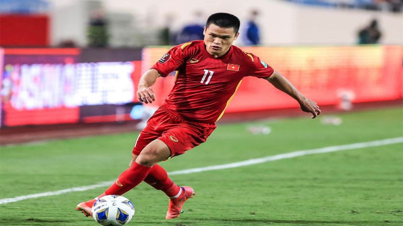 Mục tiêu trong tương lai của tác giả